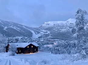 Гостиница Kirkebøen Hytter  Хемседал
